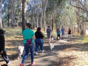 pram ginninderra canberra walks