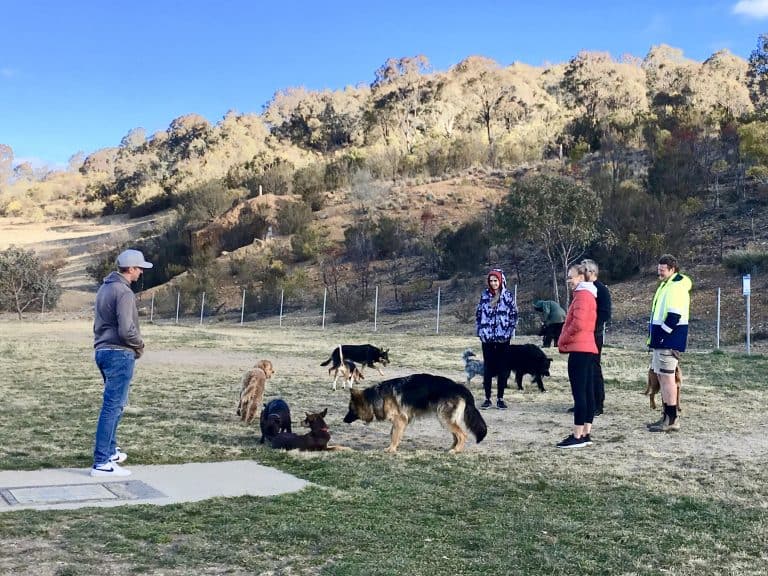 Canberra dog parks - fenced off leash parks - Canberra Dog Walks