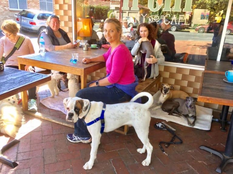 Canberra dog friendly cafes training your dog