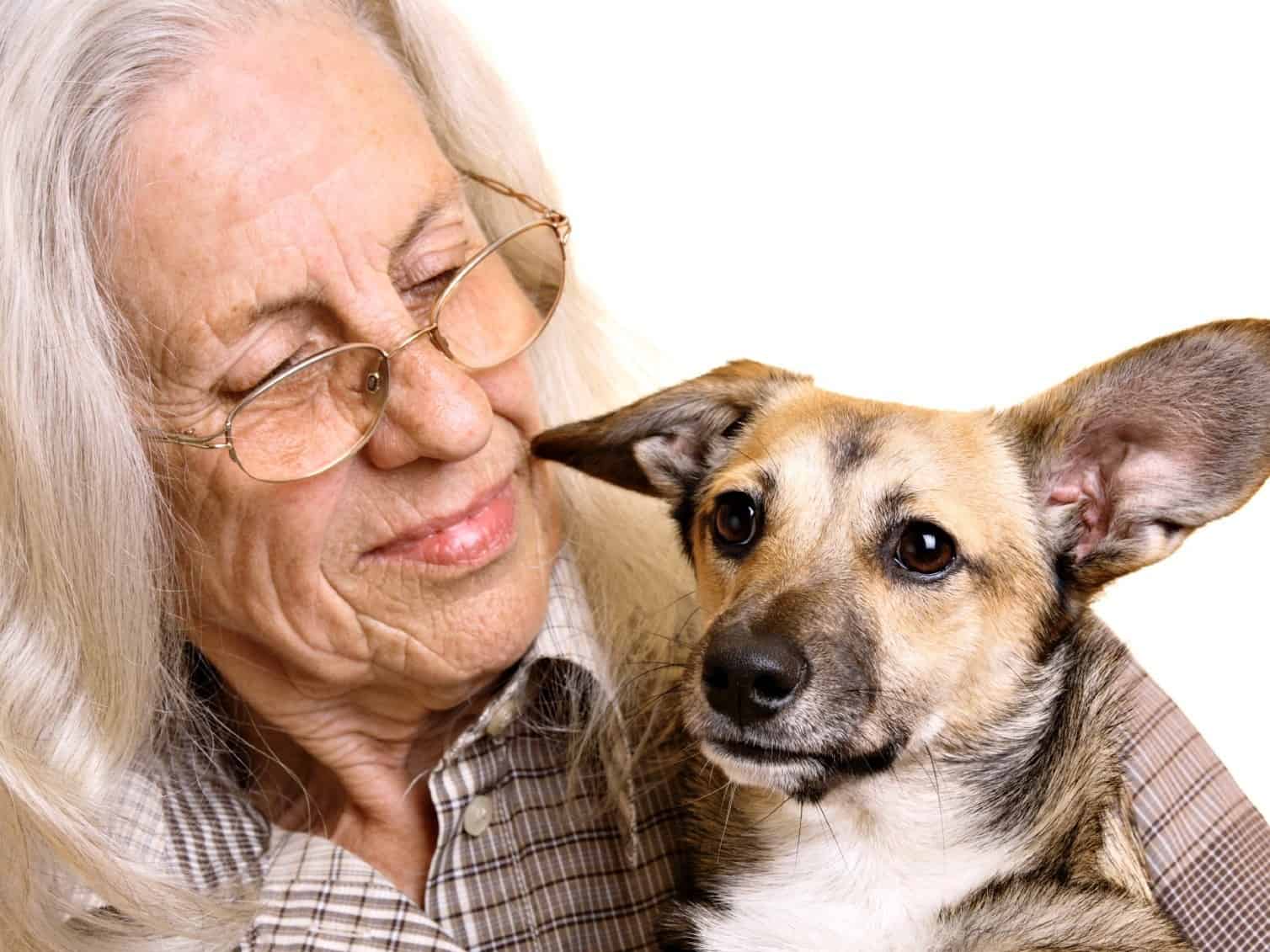 canberra-pet-friendly-aged-care-ageing-with-pets-canberra-dog-walks