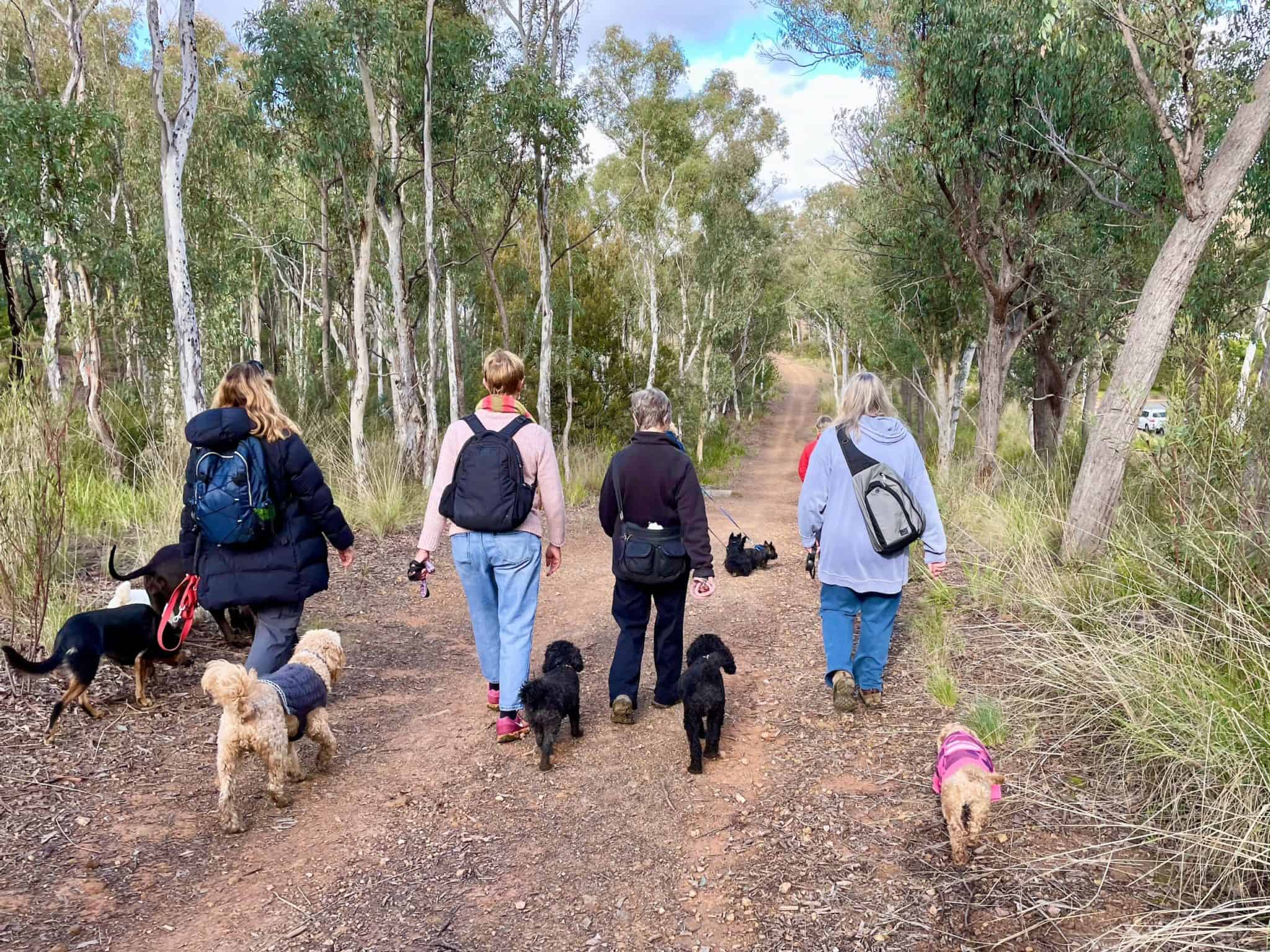 day trips from canberra with dogs